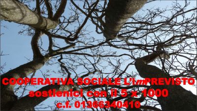 SOSTIENICI CON IL 5 X 1000 C.F. 01366340410